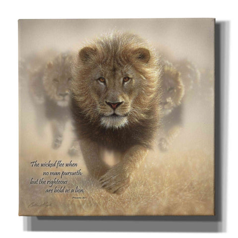 Image of 'Wicked Flee' by Collin Bogle, Canvas Wall Art,Size 1 Square