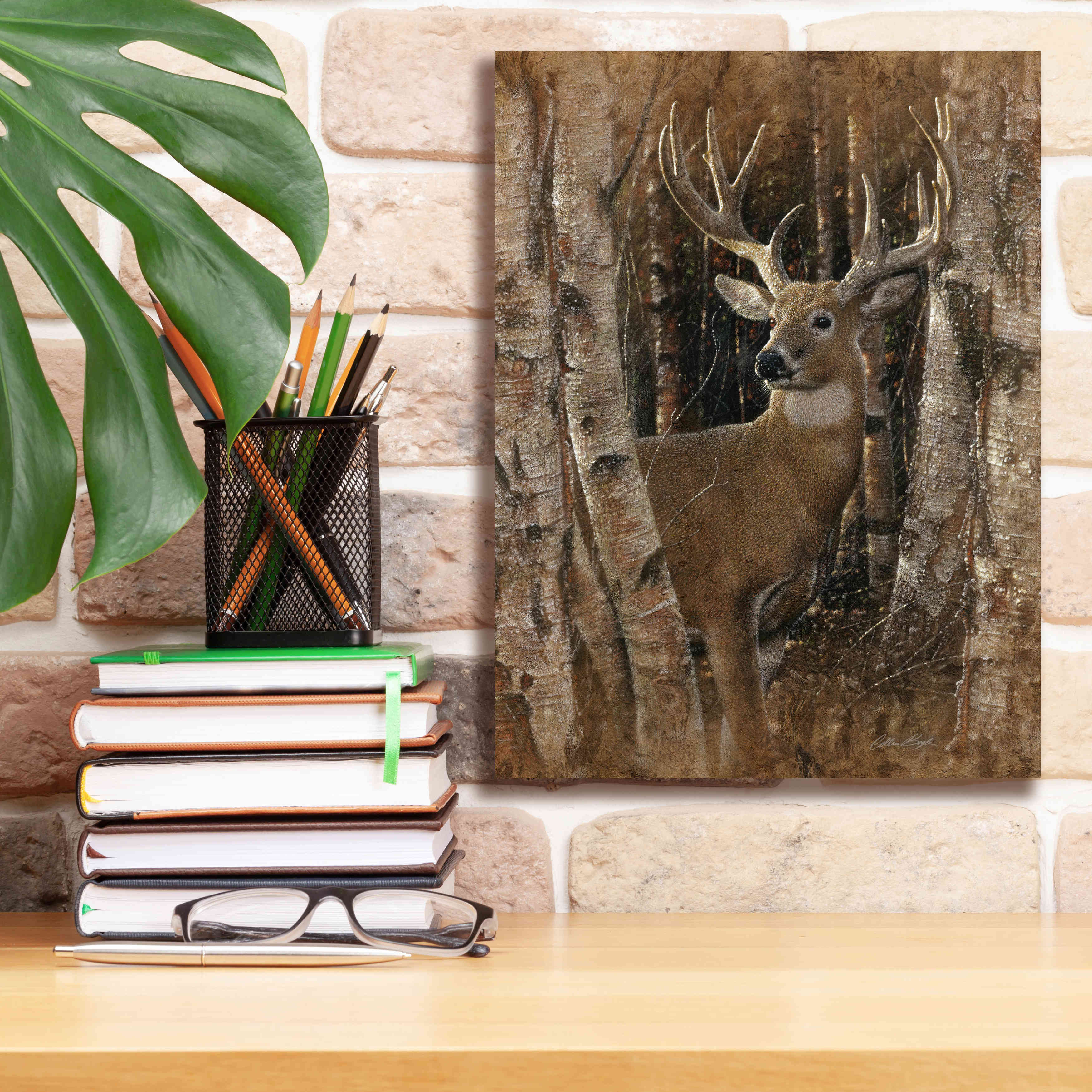 'Birchwood Buck' by Collin Bogle, Canvas Wall Art,12x16