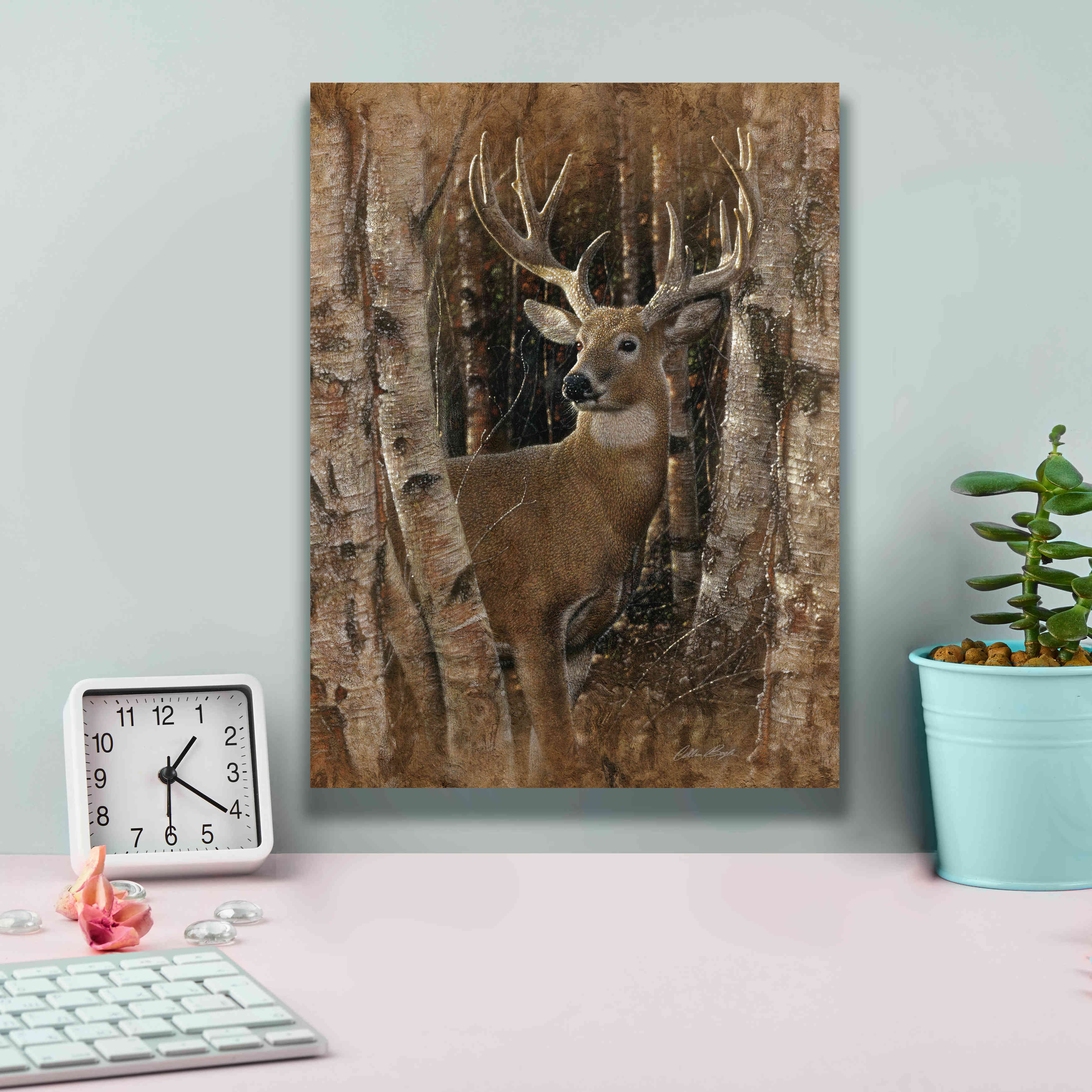 'Birchwood Buck' by Collin Bogle, Canvas Wall Art,12x16