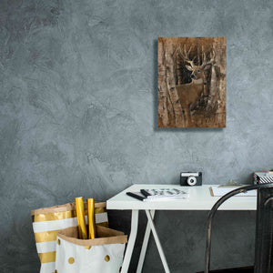 'Birchwood Buck' by Collin Bogle, Canvas Wall Art,12x16