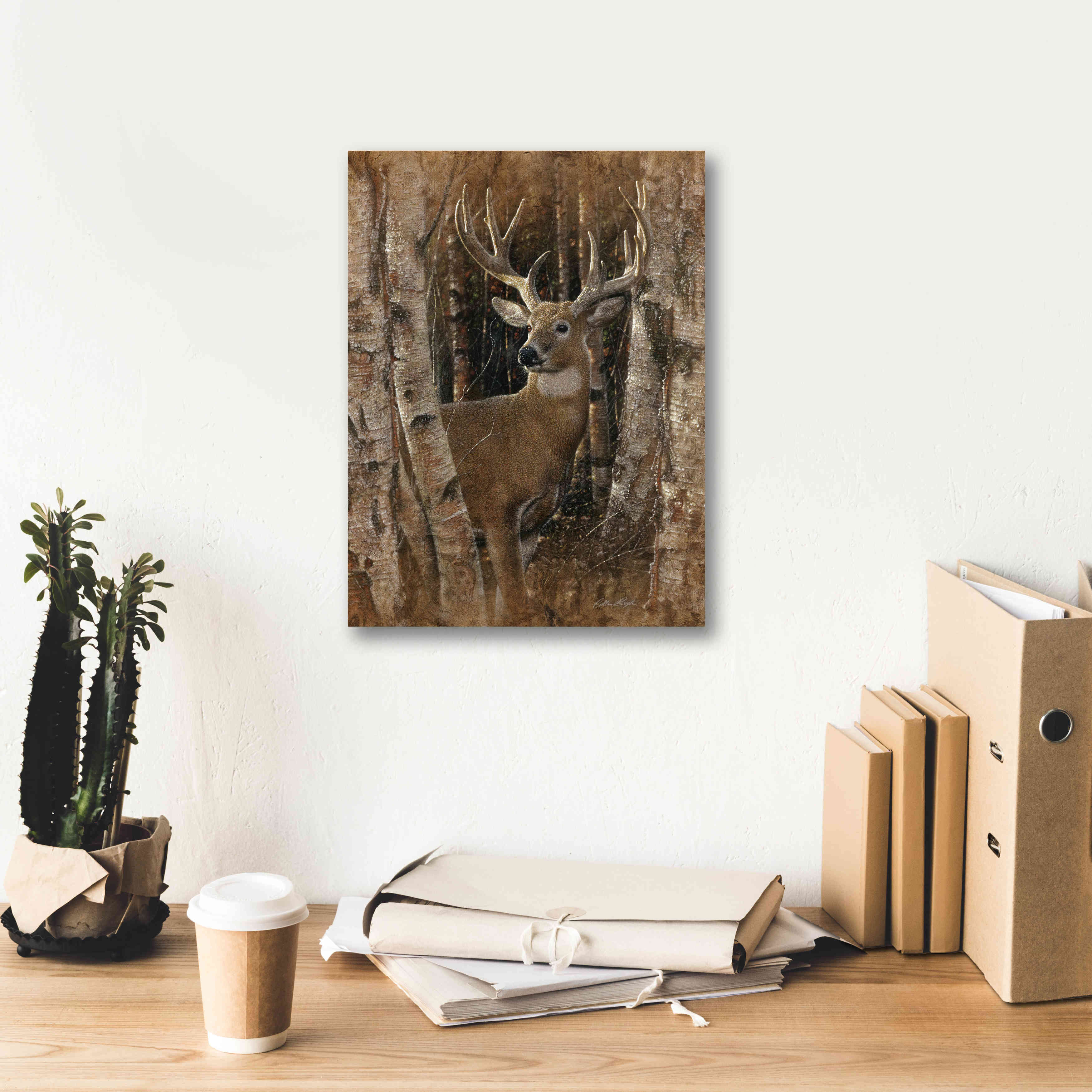 'Birchwood Buck' by Collin Bogle, Canvas Wall Art,12x16
