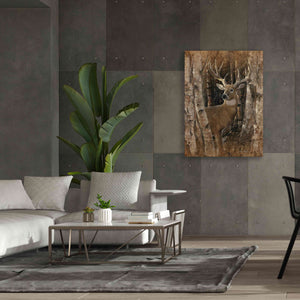 'Birchwood Buck' by Collin Bogle, Canvas Wall Art,40x54