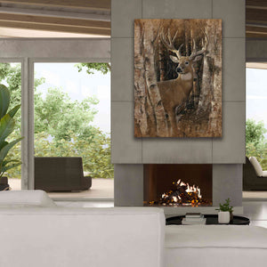 'Birchwood Buck' by Collin Bogle, Canvas Wall Art,40x54