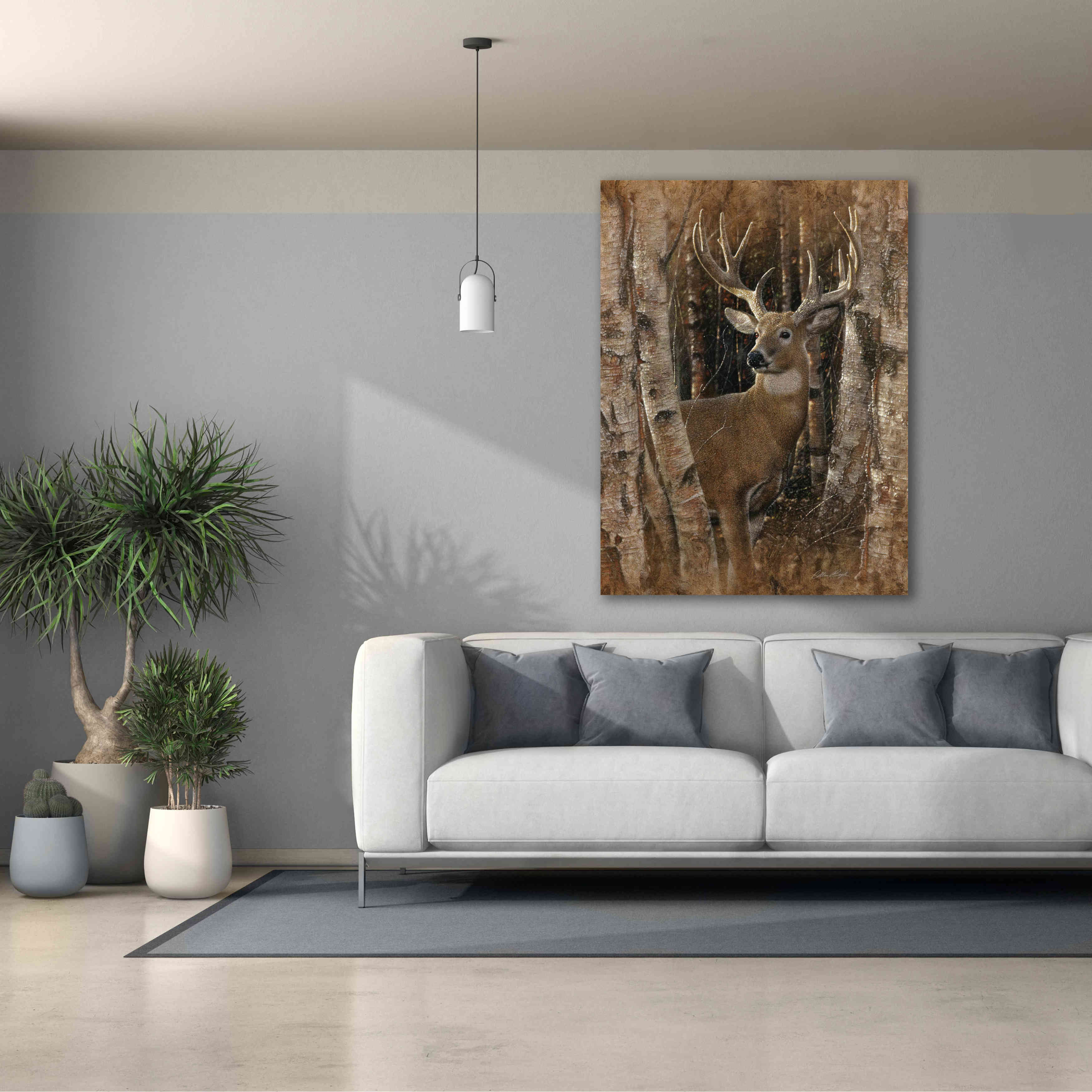 'Birchwood Buck' by Collin Bogle, Canvas Wall Art,40x54
