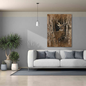 'Birchwood Buck' by Collin Bogle, Canvas Wall Art,40x54