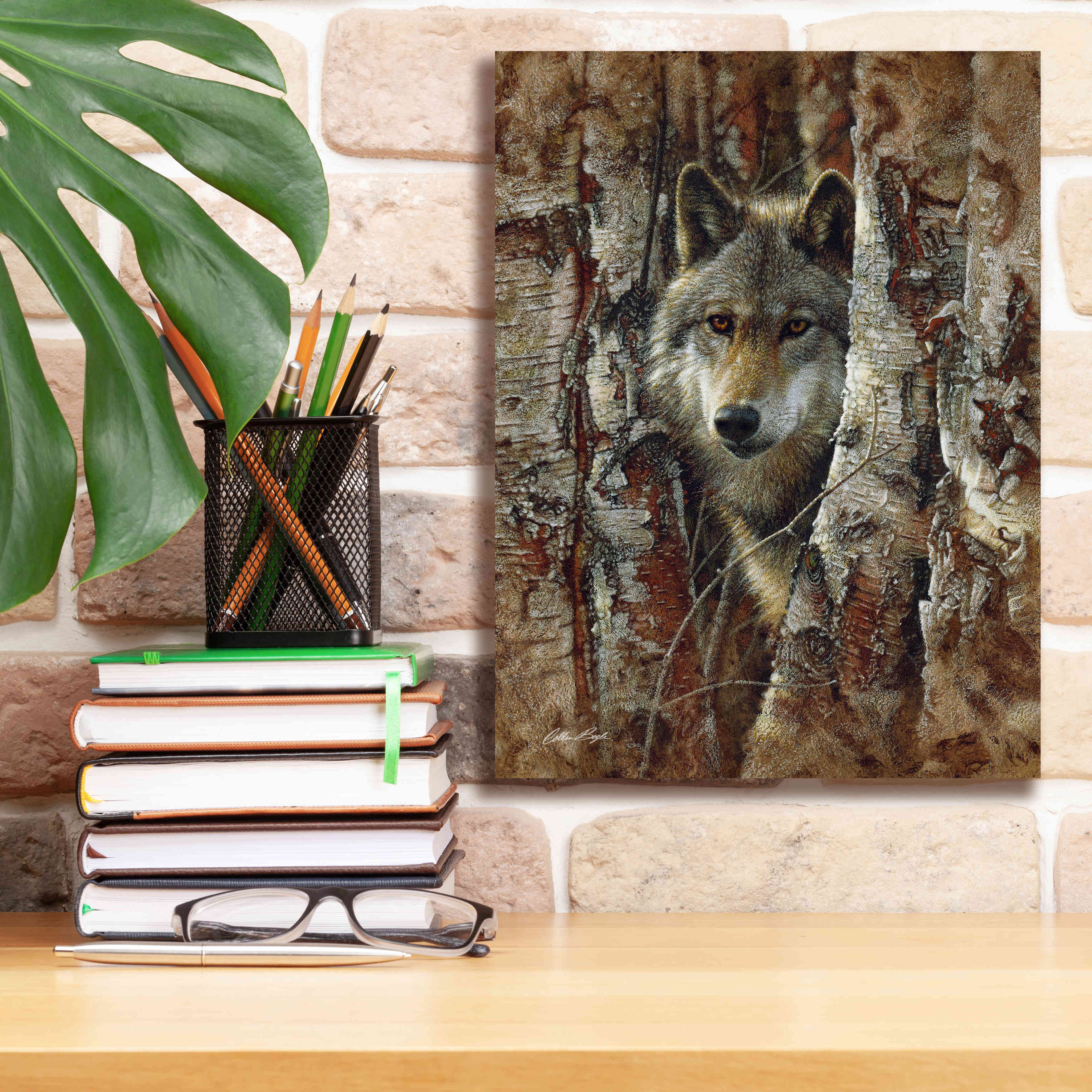'Wood Land Spirit' by Collin Bogle, Canvas Wall Art,12x16
