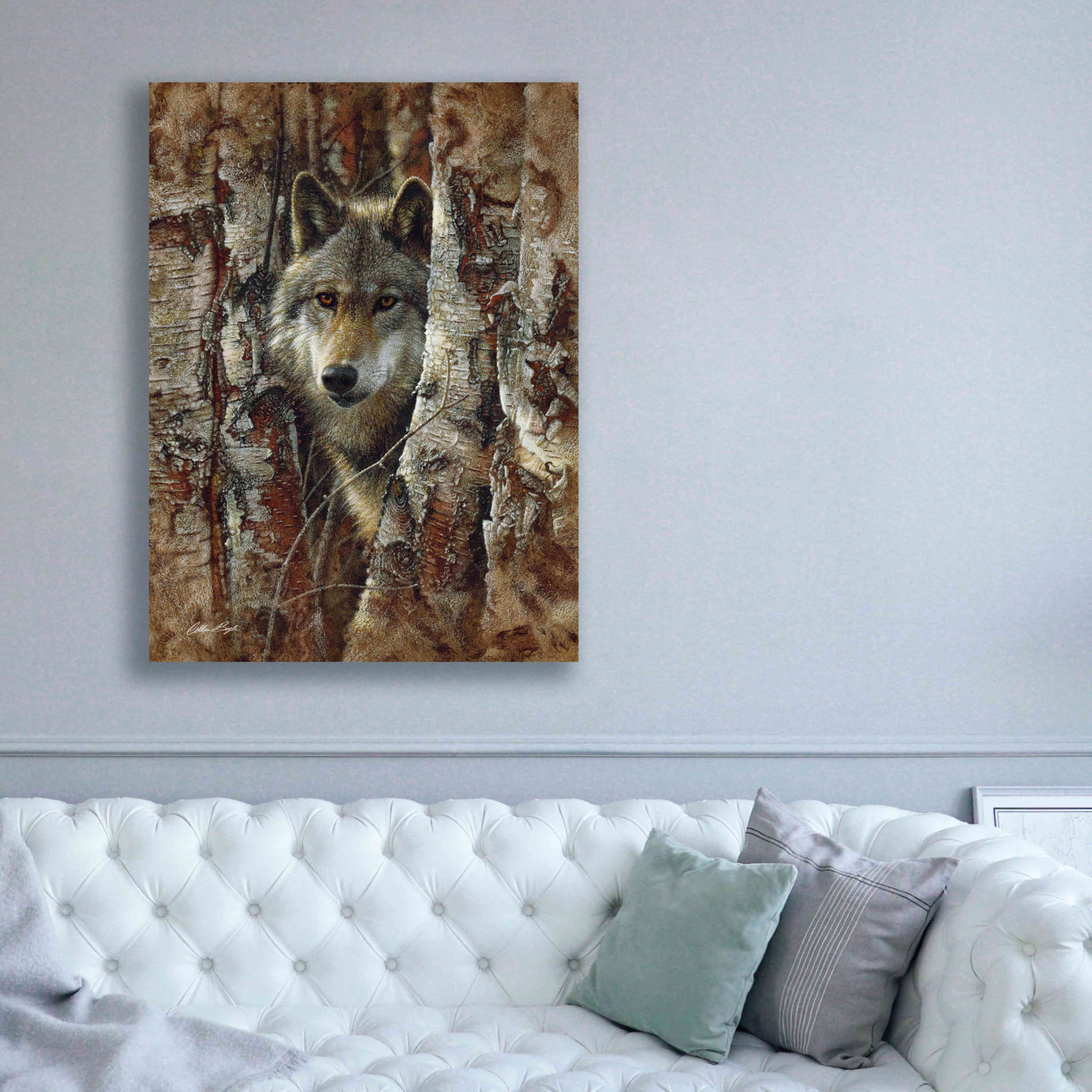 'Wood Land Spirit' by Collin Bogle, Canvas Wall Art,40x54