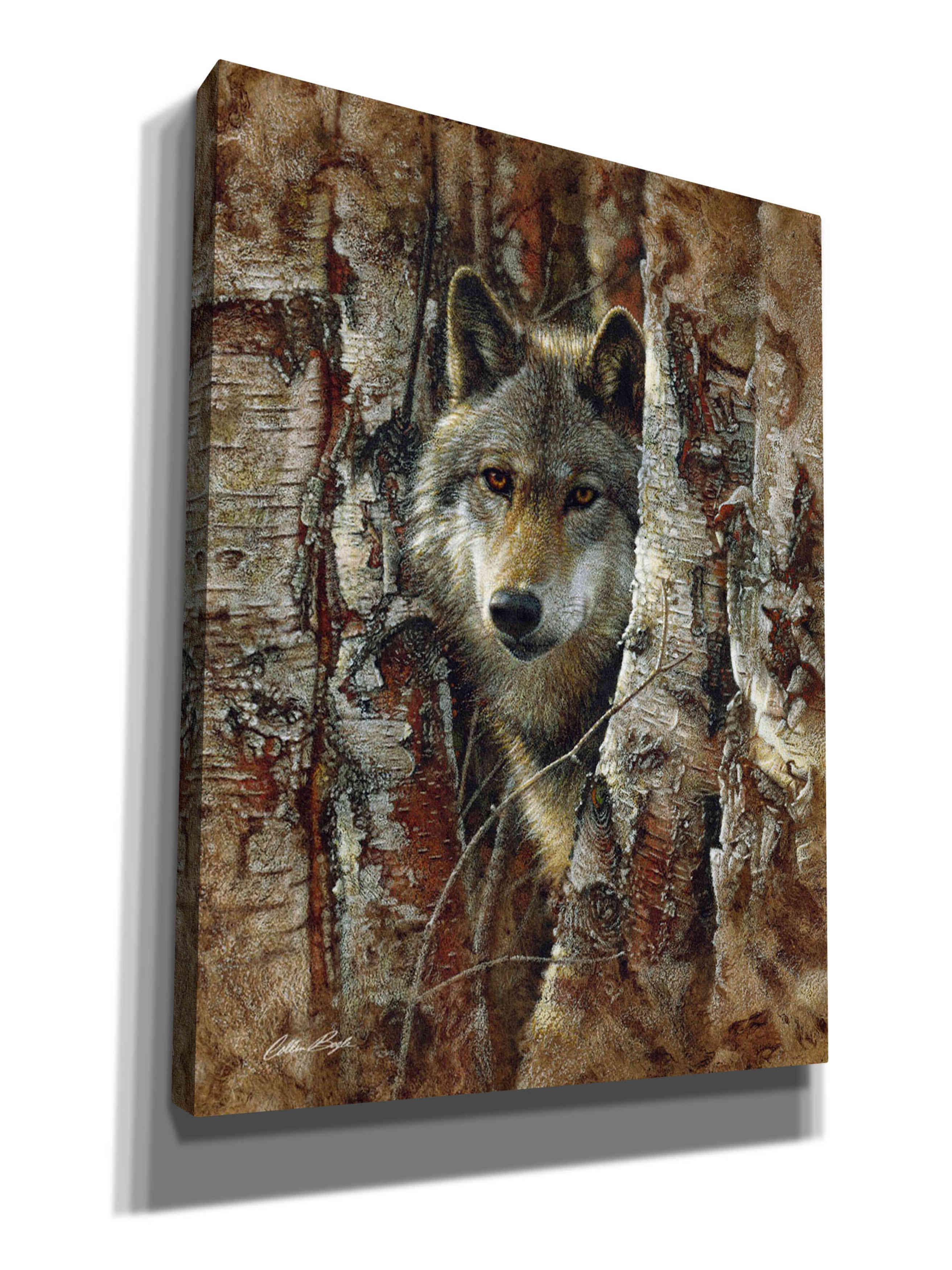 'Wood Land Spirit' by Collin Bogle, Canvas Wall Art,Size C Portrait