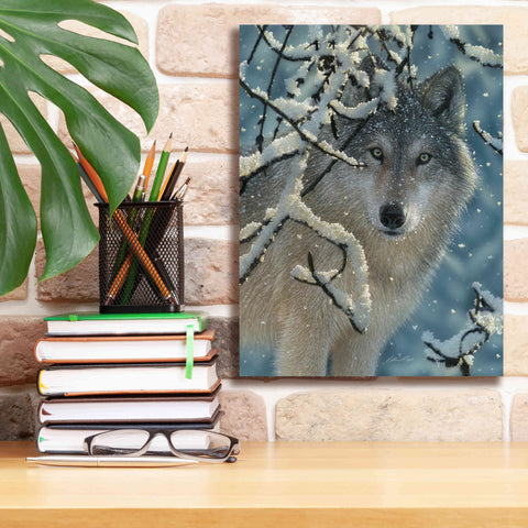 Image of 'Broken Silence' by Collin Bogle, Canvas Wall Art,12x16