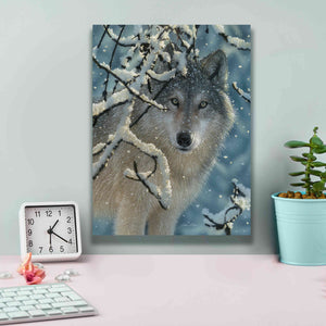'Broken Silence' by Collin Bogle, Canvas Wall Art,12x16