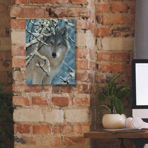 'Broken Silence' by Collin Bogle, Canvas Wall Art,12x16