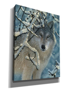 'Broken Silence' by Collin Bogle, Canvas Wall Art,Size C Portrait