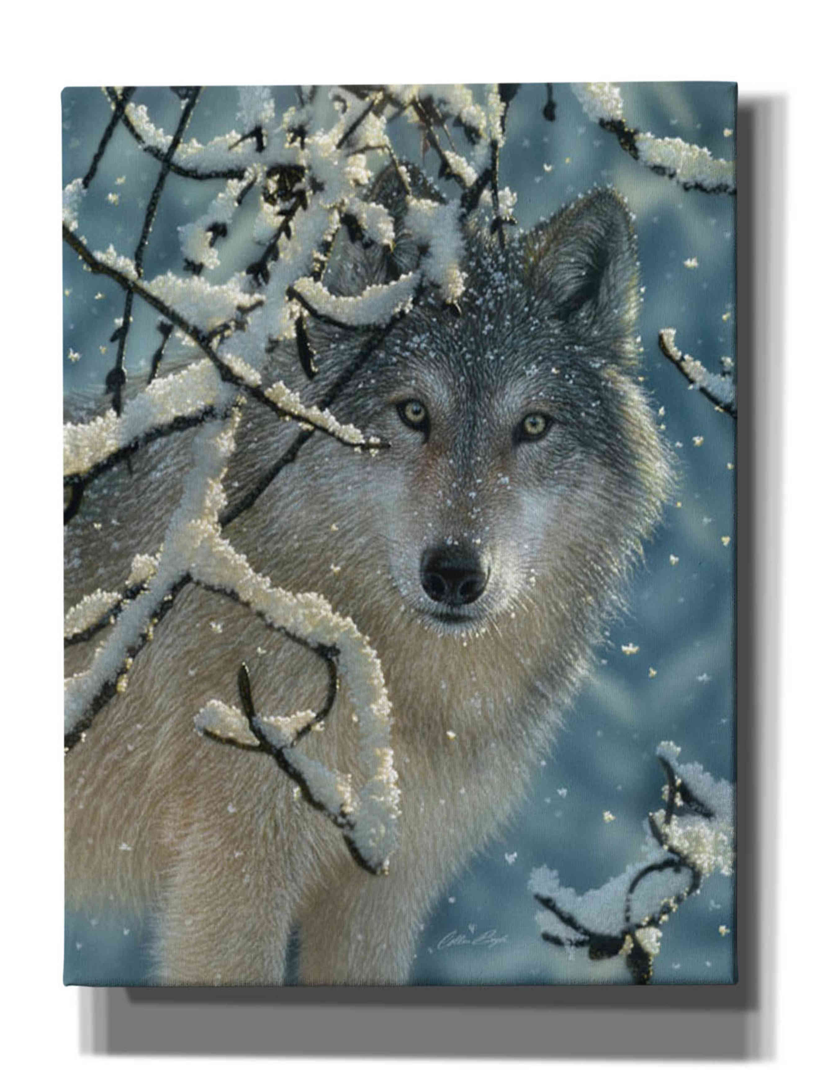 'Broken Silence' by Collin Bogle, Canvas Wall Art,Size C Portrait