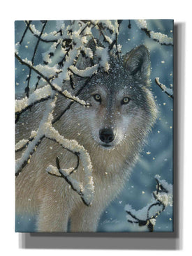 'Broken Silence' by Collin Bogle, Canvas Wall Art,Size C Portrait