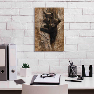 'Curious Cubs' by Collin Bogle, Canvas Wall Art,12x18