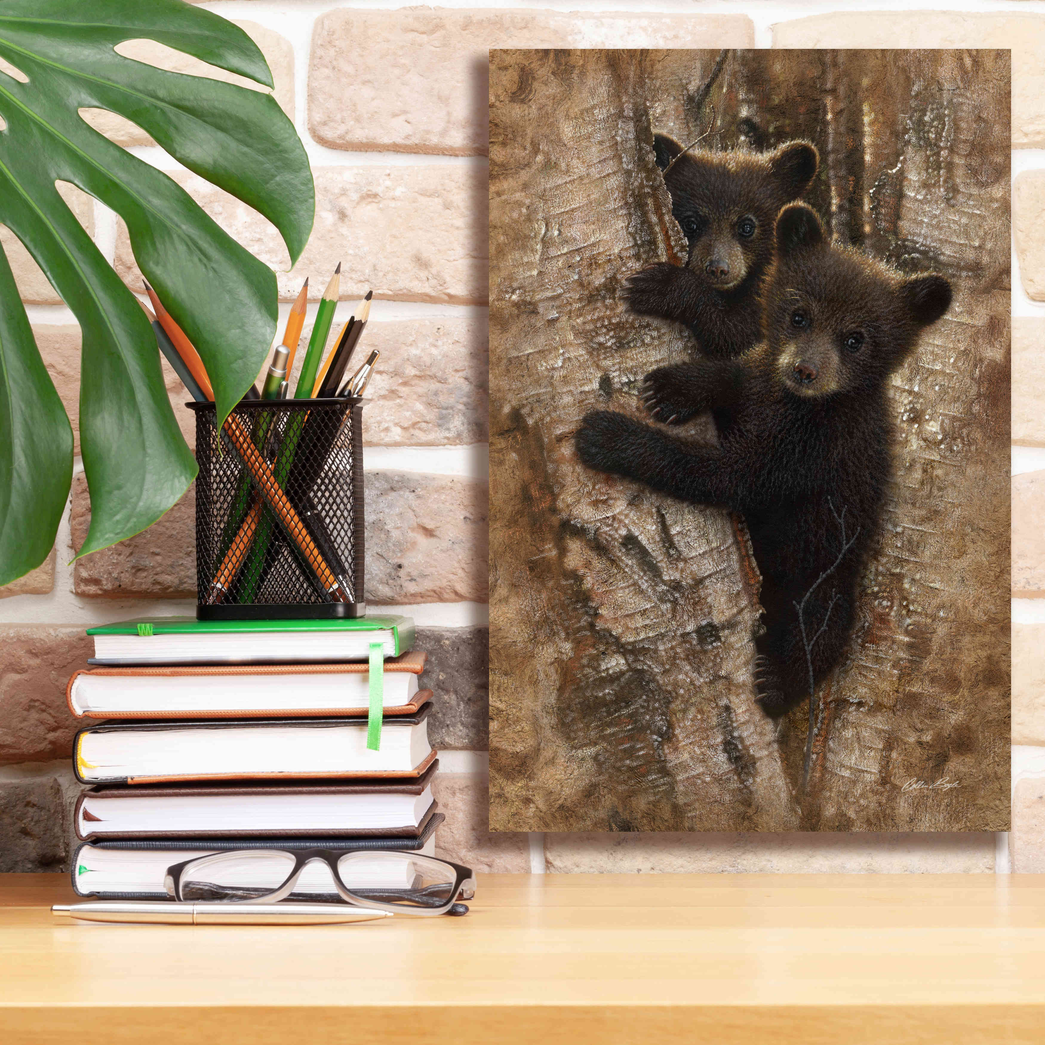 'Curious Cubs' by Collin Bogle, Canvas Wall Art,12x18