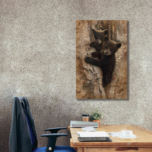 'Curious Cubs' by Collin Bogle, Canvas Wall Art,26x40