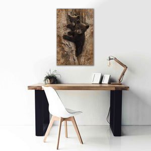 'Curious Cubs' by Collin Bogle, Canvas Wall Art,26x40