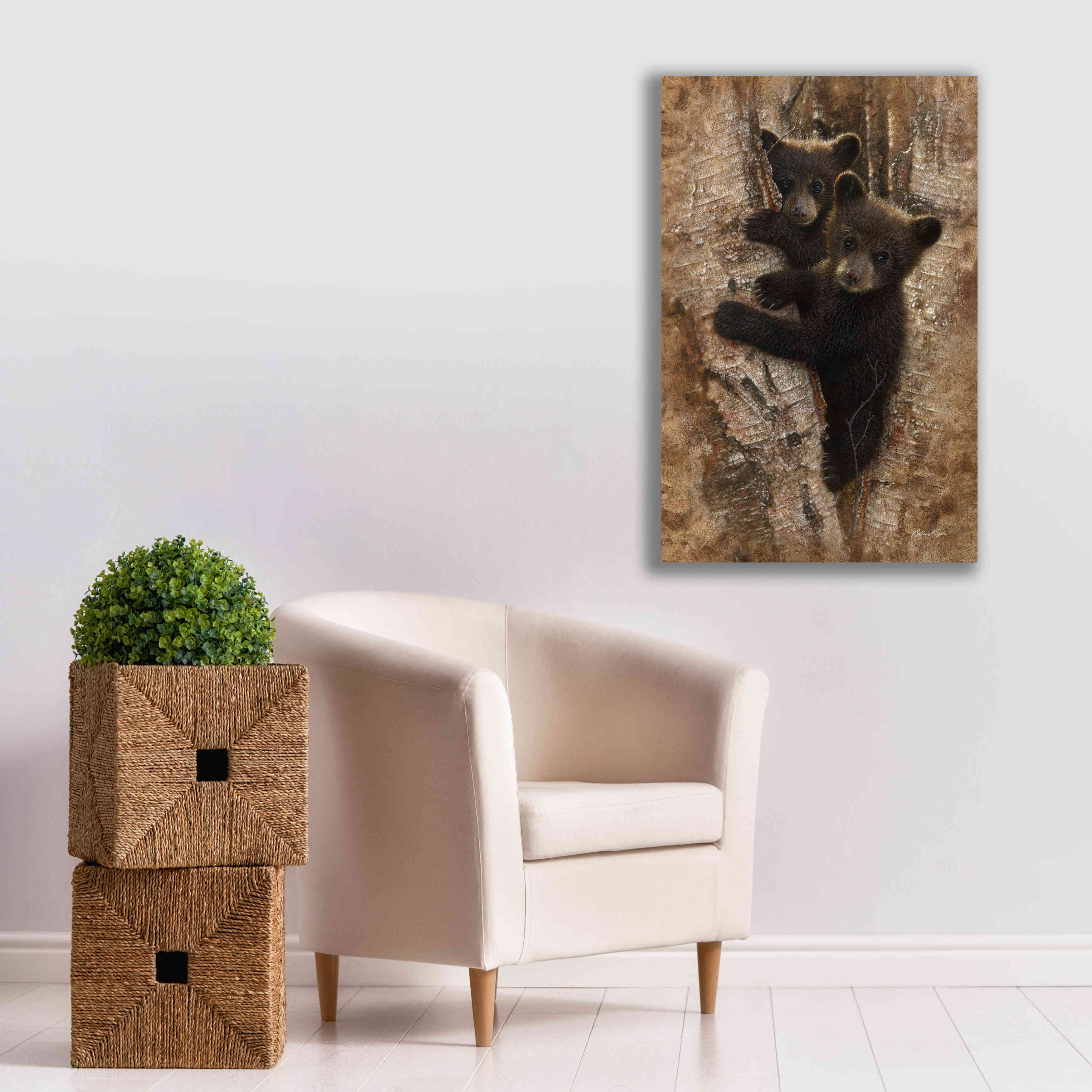 'Curious Cubs' by Collin Bogle, Canvas Wall Art,26x40