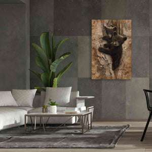 'Curious Cubs' by Collin Bogle, Canvas Wall Art,40x60