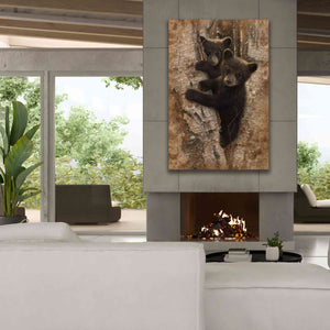 'Curious Cubs' by Collin Bogle, Canvas Wall Art,40x60