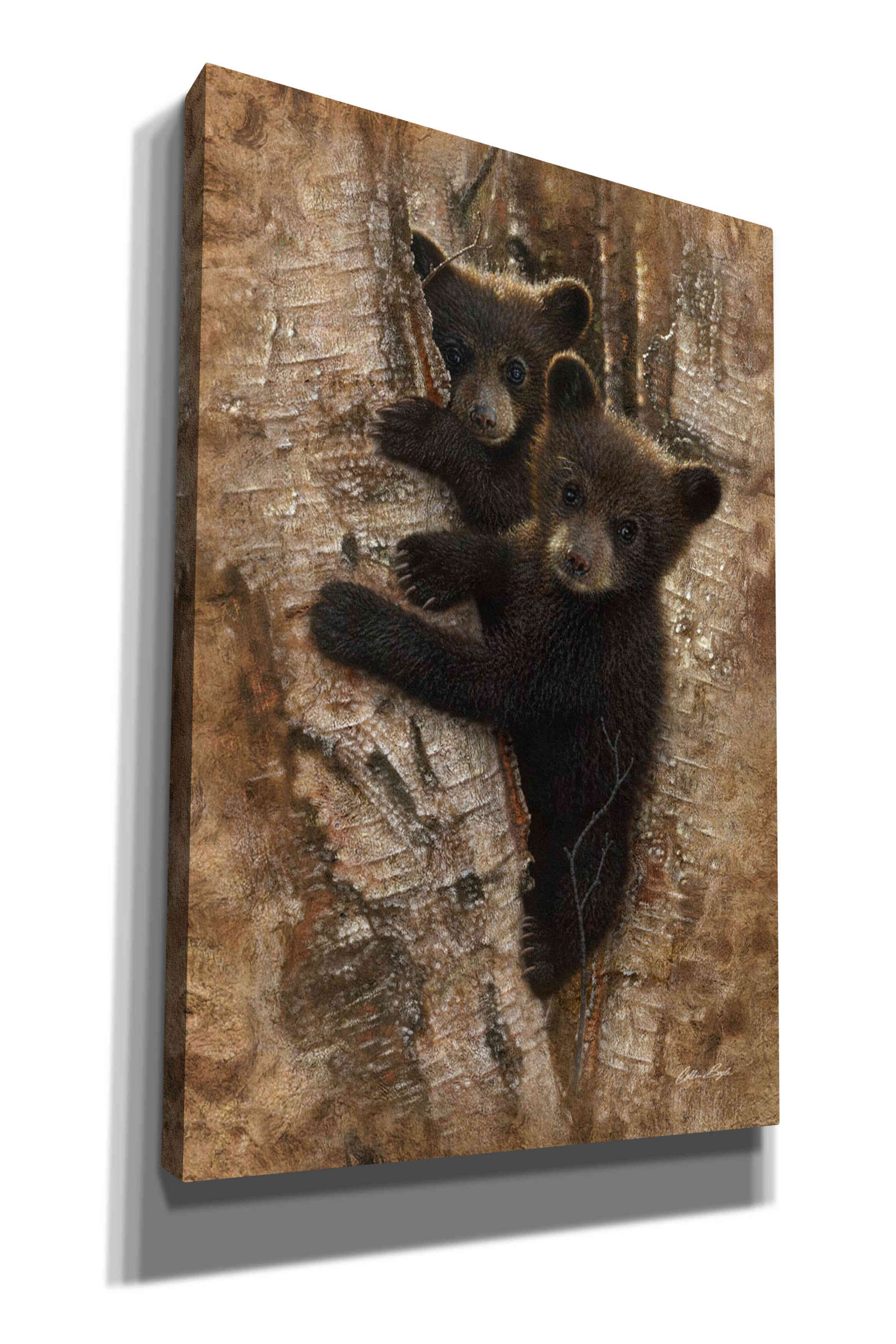 'Curious Cubs' by Collin Bogle, Canvas Wall Art,Size A Portrait