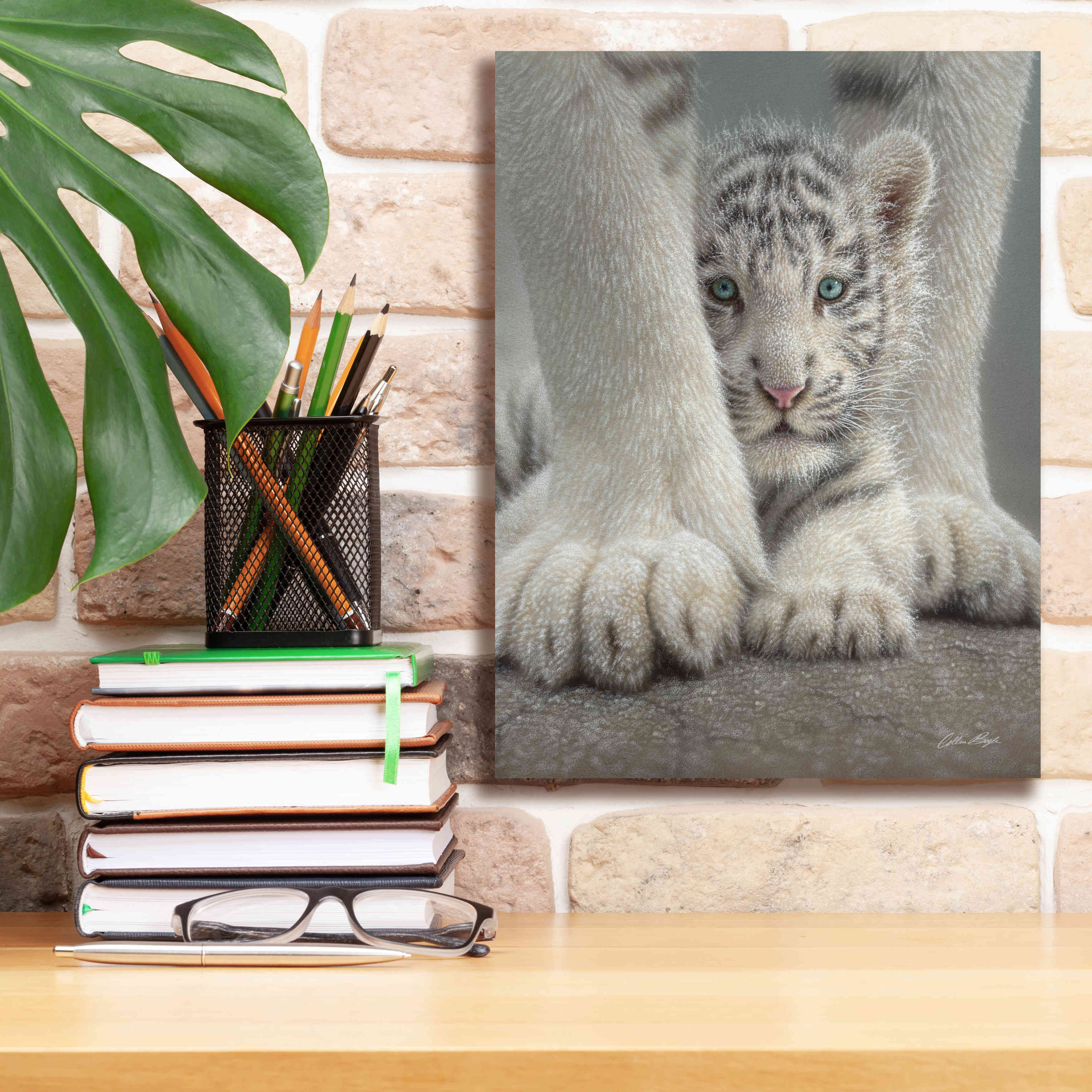 'Sheltered' by Collin Bogle, Canvas Wall Art,12x16