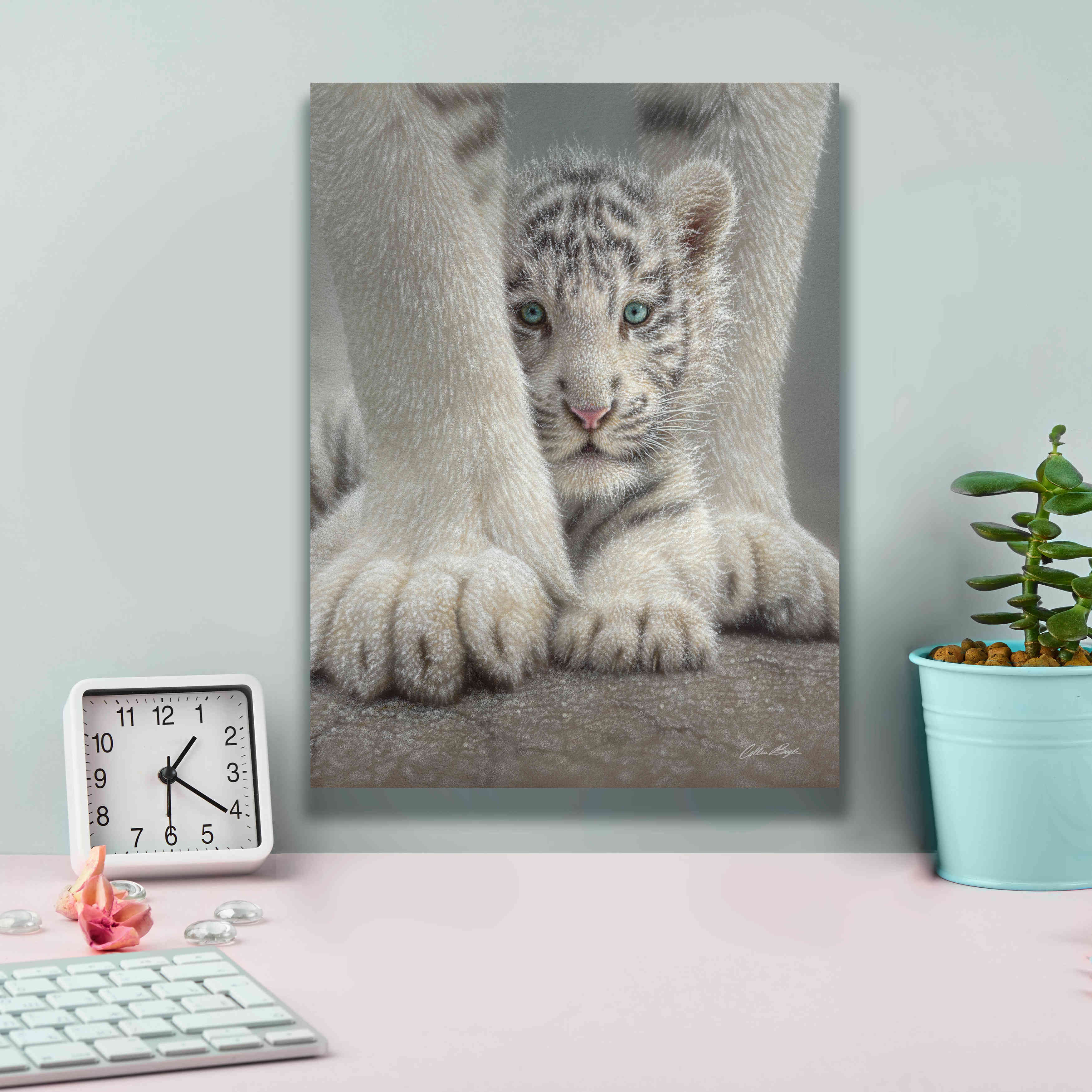 'Sheltered' by Collin Bogle, Canvas Wall Art,12x16