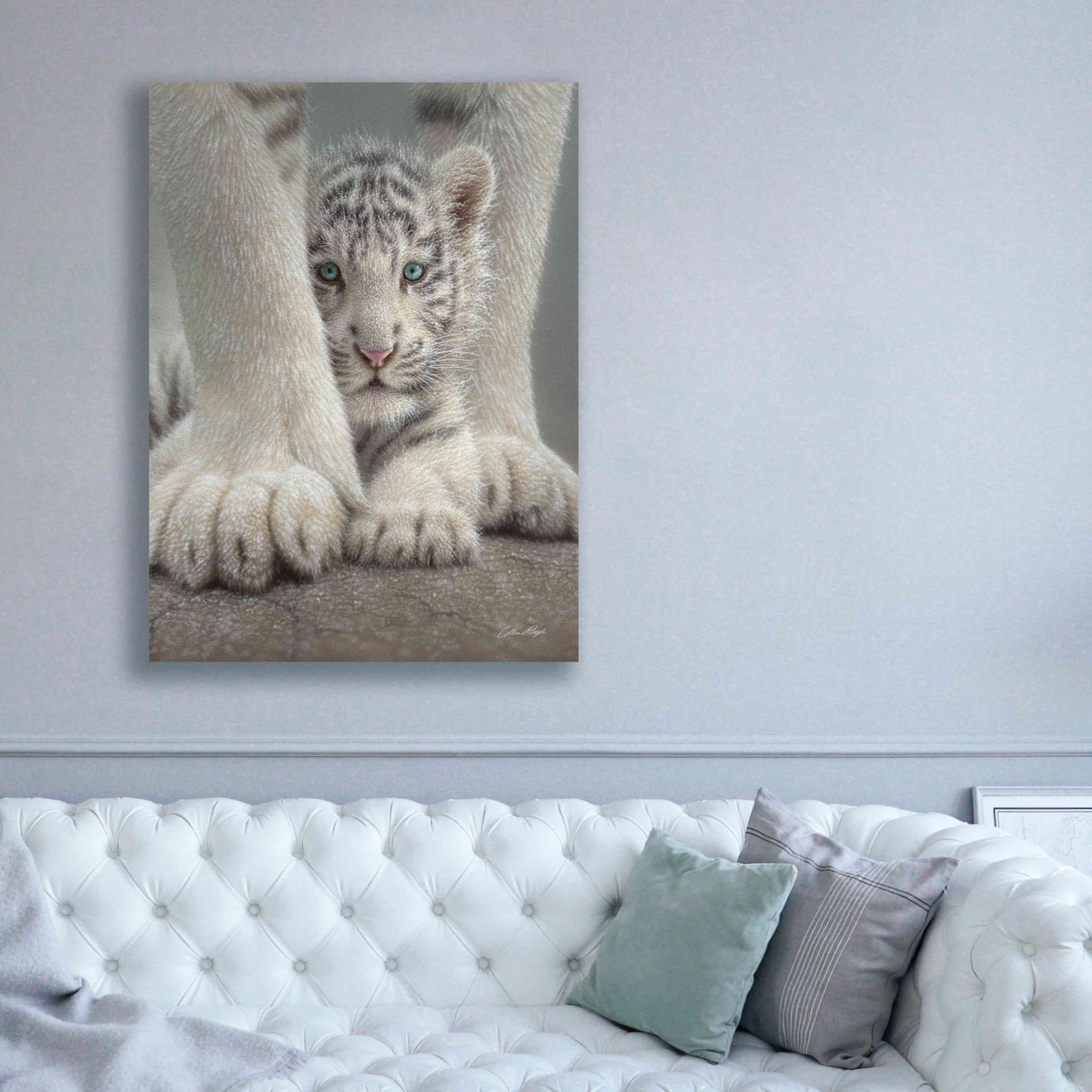 'Sheltered' by Collin Bogle, Canvas Wall Art,40x54