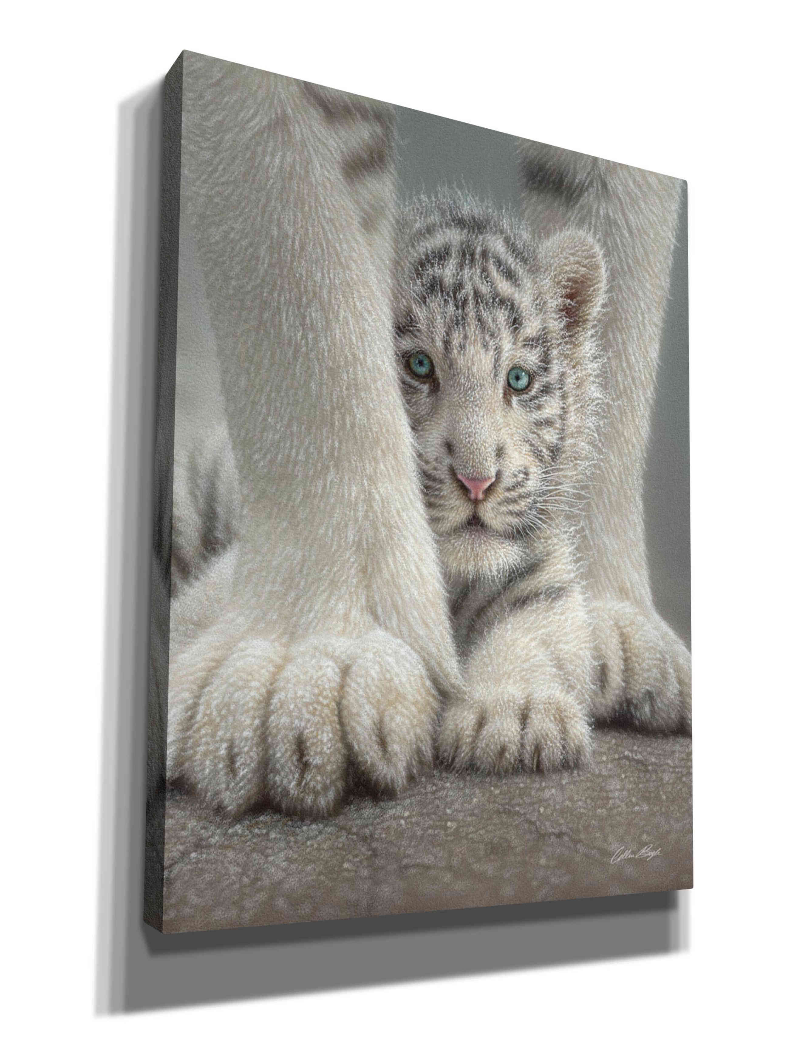 'Sheltered' by Collin Bogle, Canvas Wall Art,Size C Portrait