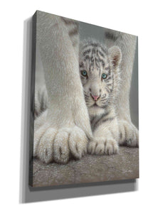 'Sheltered' by Collin Bogle, Canvas Wall Art,Size C Portrait