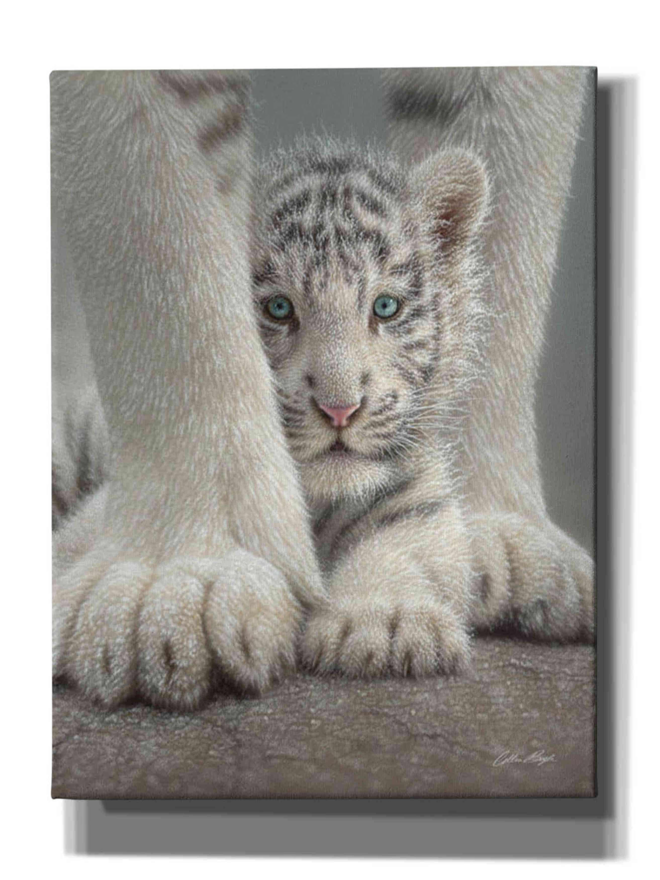 'Sheltered' by Collin Bogle, Canvas Wall Art,Size C Portrait