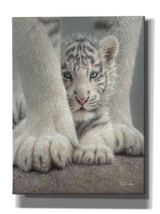 'Sheltered' by Collin Bogle, Canvas Wall Art,Size C Portrait
