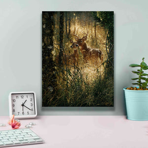 'A Golden Moment Portrait' by Collin Bogle, Canvas Wall Art,12x16