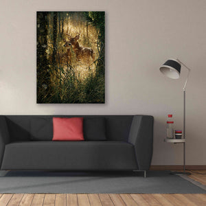'A Golden Moment Portrait' by Collin Bogle, Canvas Wall Art,40x54