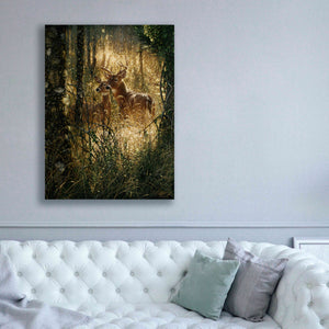 'A Golden Moment Portrait' by Collin Bogle, Canvas Wall Art,40x54