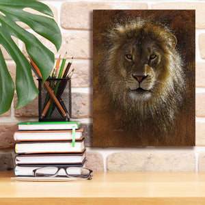 'Face Off' by Collin Bogle, Canvas Wall Art,12x16