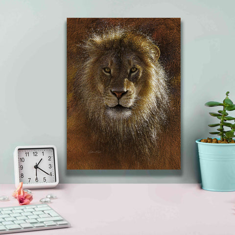 Image of 'Face Off' by Collin Bogle, Canvas Wall Art,12x16