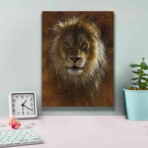 'Face Off' by Collin Bogle, Canvas Wall Art,12x16