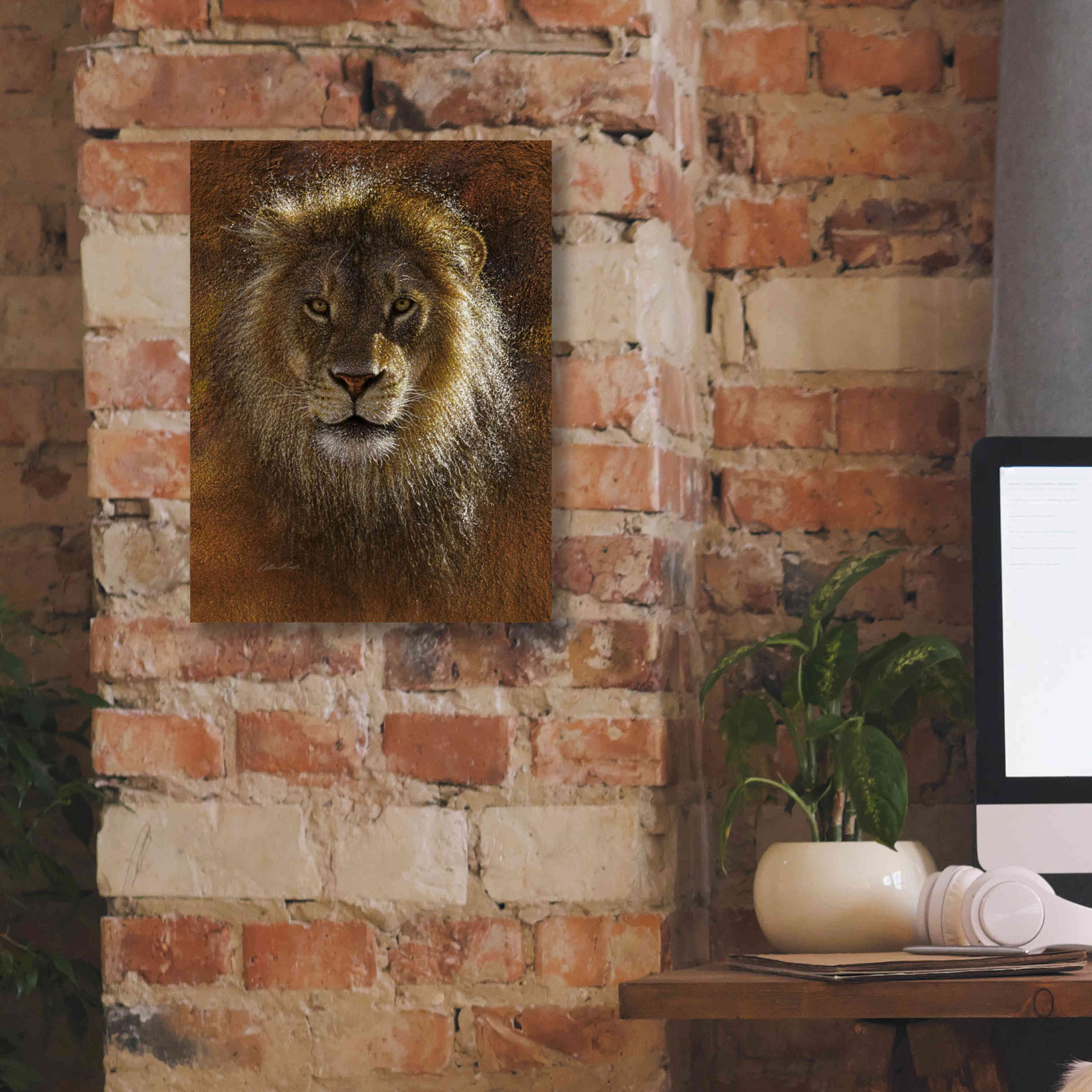 'Face Off' by Collin Bogle, Canvas Wall Art,12x16