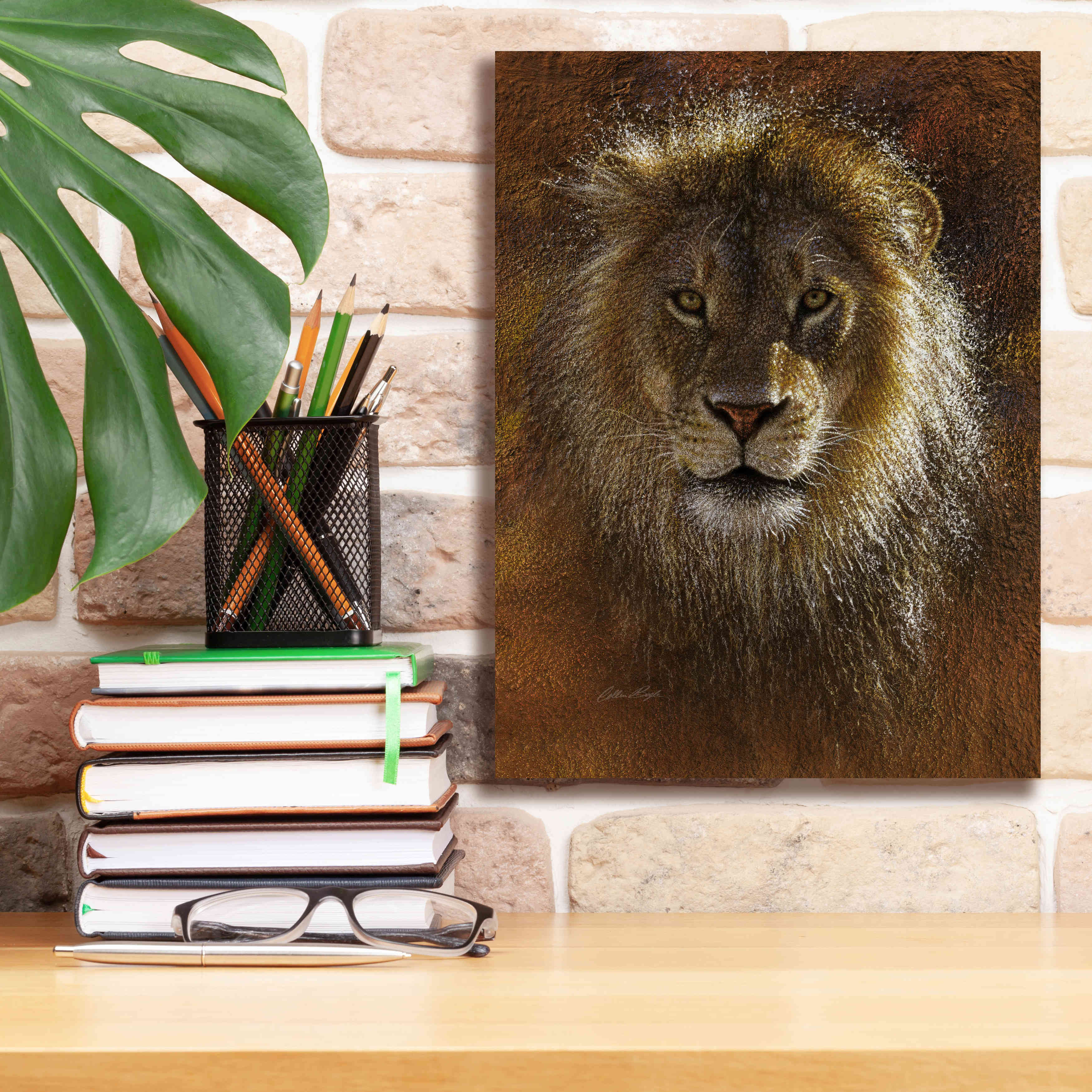 'Face Off' by Collin Bogle, Canvas Wall Art,12x16