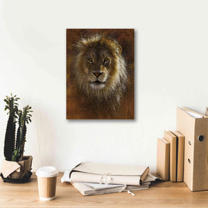 'Face Off' by Collin Bogle, Canvas Wall Art,12x16