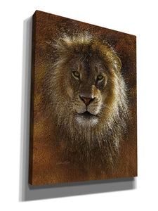 'Face Off' by Collin Bogle, Canvas Wall Art,Size C Portrait