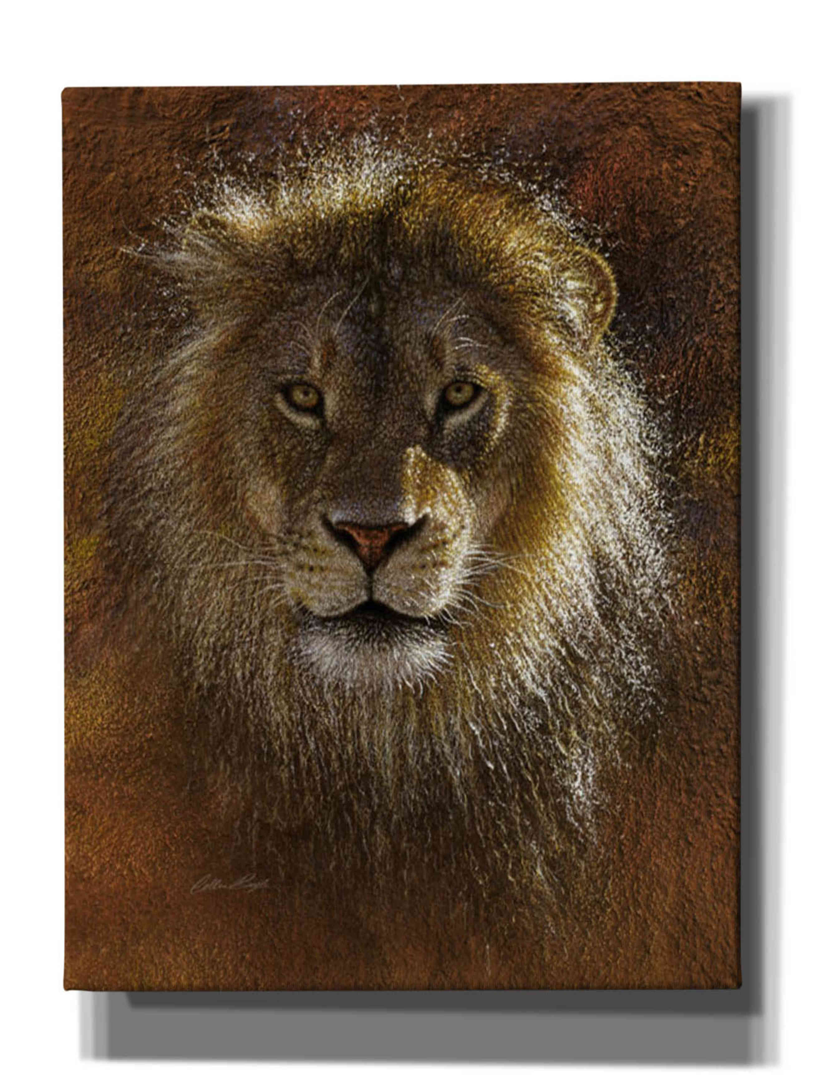 'Face Off' by Collin Bogle, Canvas Wall Art,Size C Portrait