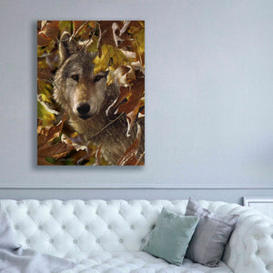 'Autumn Shadows' by Collin Bogle, Canvas Wall Art,40x54