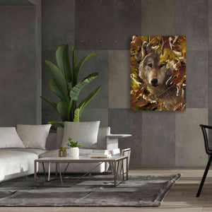 'Autumn Shadows' by Collin Bogle, Canvas Wall Art,40x54