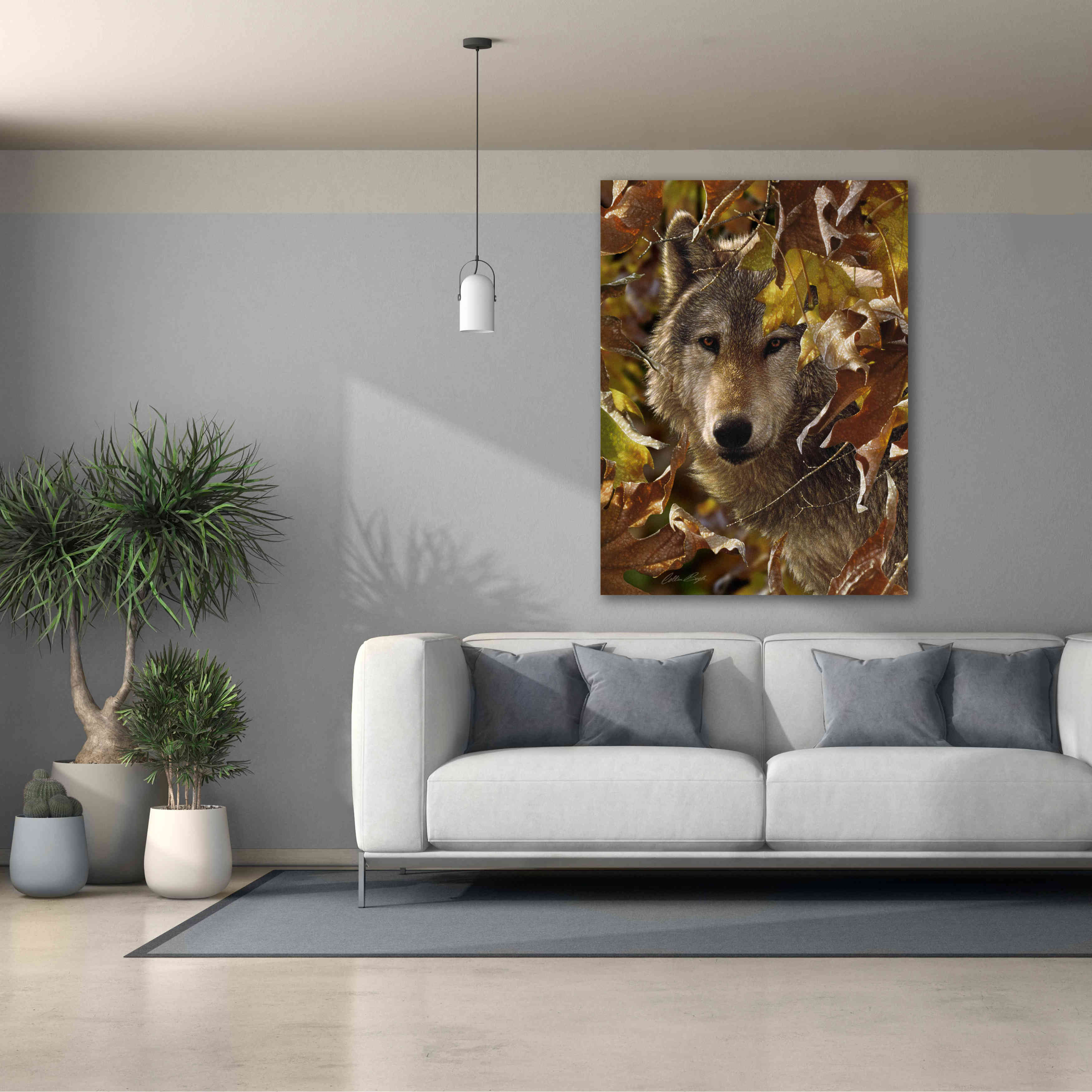 'Autumn Shadows' by Collin Bogle, Canvas Wall Art,40x54