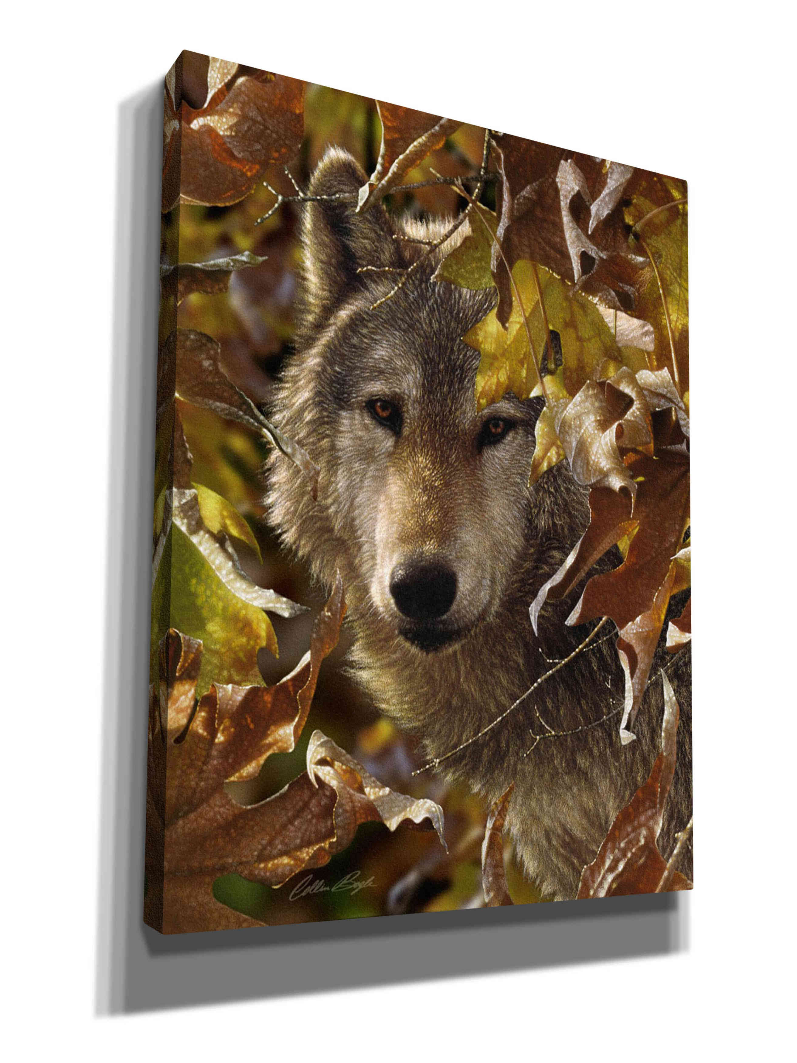 'Autumn Shadows' by Collin Bogle, Canvas Wall Art,Size C Portrait
