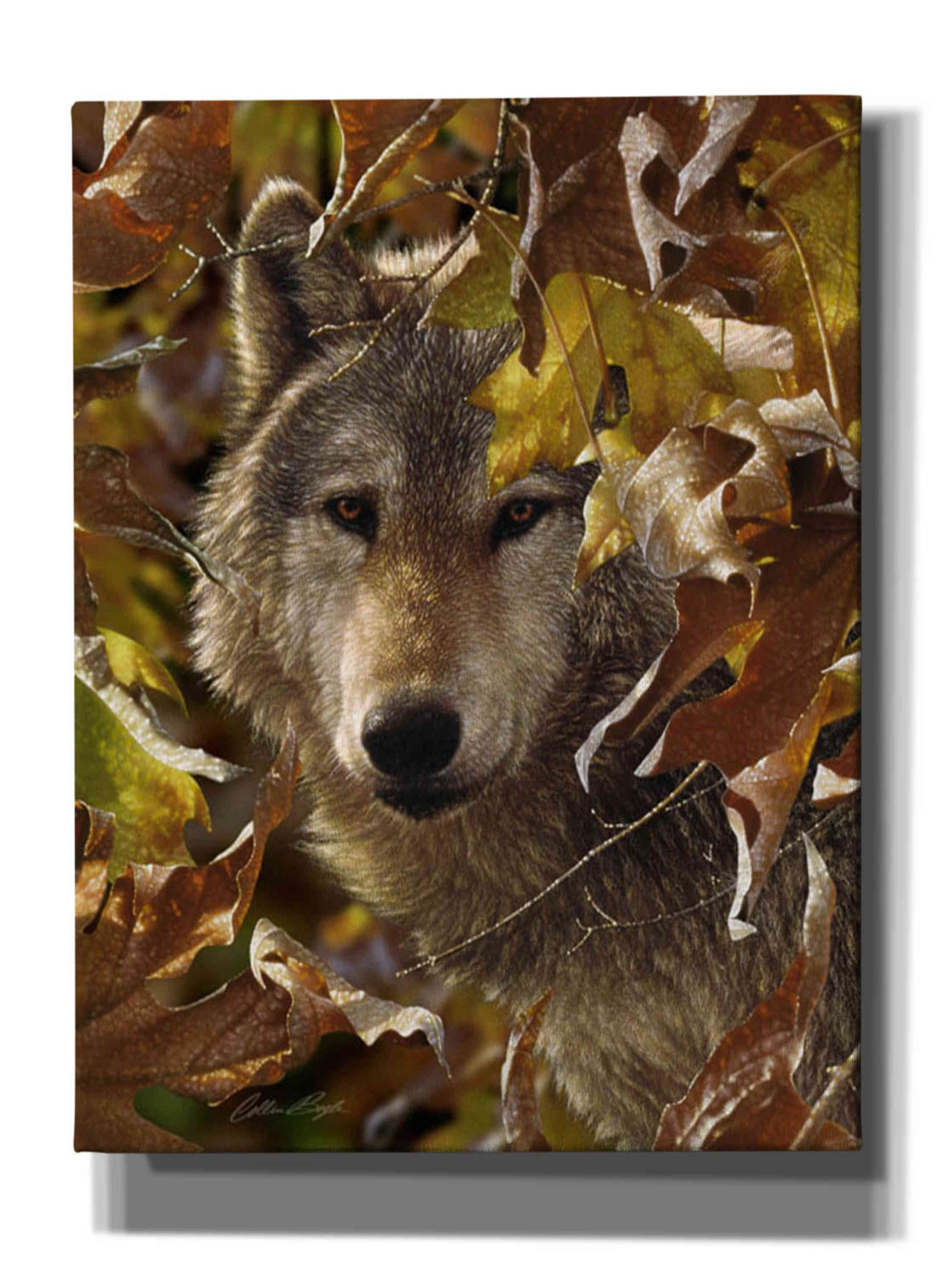 'Autumn Shadows' by Collin Bogle, Canvas Wall Art,Size C Portrait