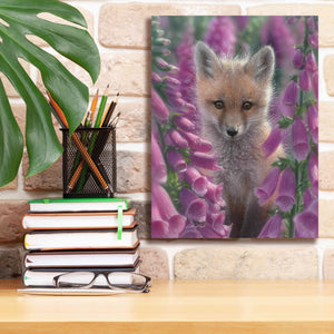 'Fox Gloves' by Collin Bogle, Canvas Wall Art,12x16